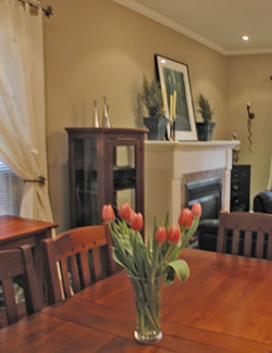 house fluffing living room